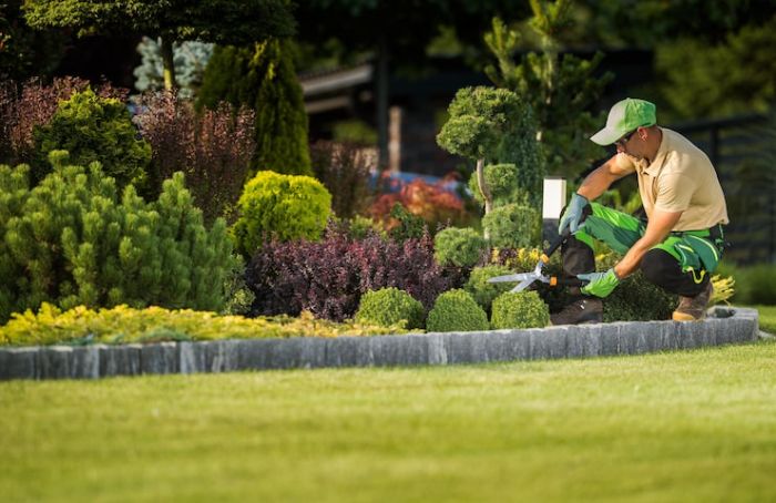 Transform Your Yard with Landscaping Services in Hallam