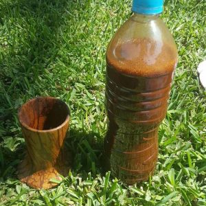 Ayahuasca