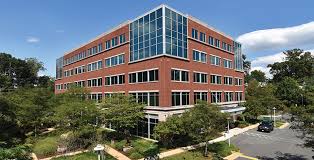 Best Primary Care Doctors in Falls Church