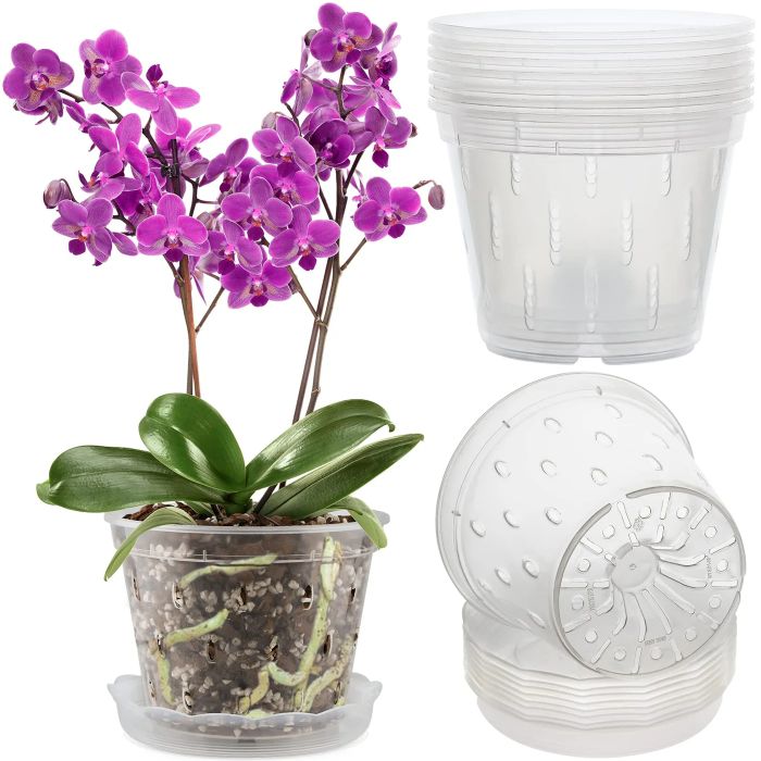 Clear Orchid Pots: The Perfect Choice for Healthy Orchid Roots