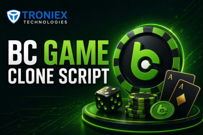 Crypto Casino Business Setup with BC Game Clone Script