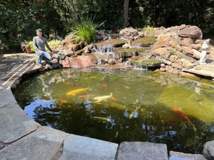 Custom Backyard Koi Pond Contractor: perfect balance of nature and engineering