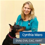 Cynthia Maro DVM