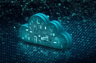 Database Management Services