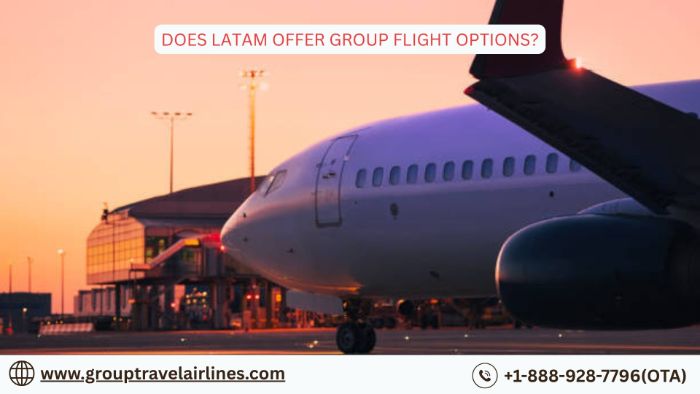 Does LATAM Offer Group Flight Options?