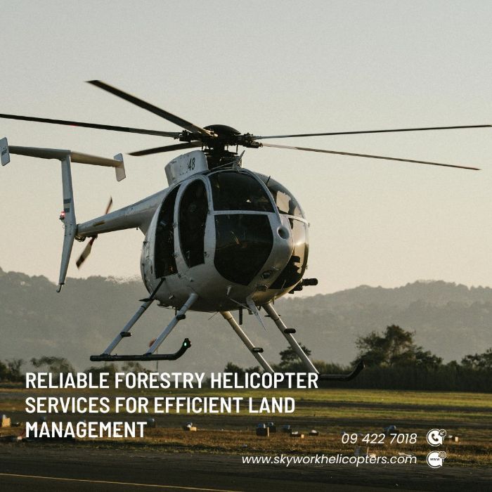 Quality Forestry Helicopter Services for Remote Access Needs