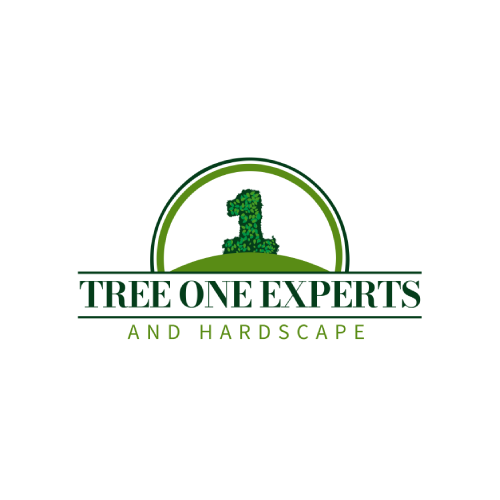 Tree One Experts