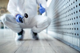Burlington Termite Control Services for Fast Relief