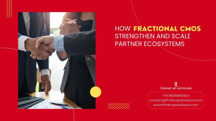 Fractional CMO Services