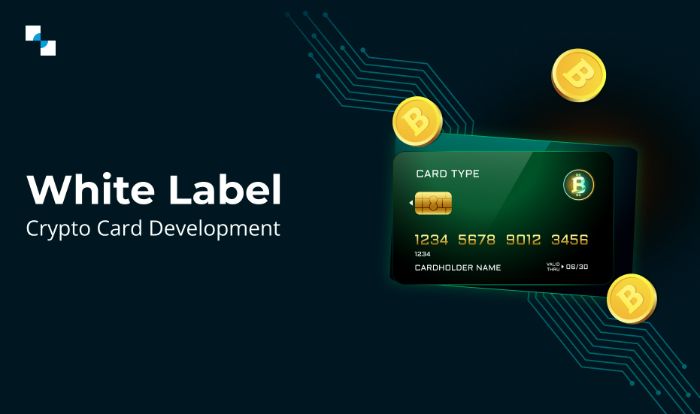 Get in touch with Antier for white label crypto card development services
