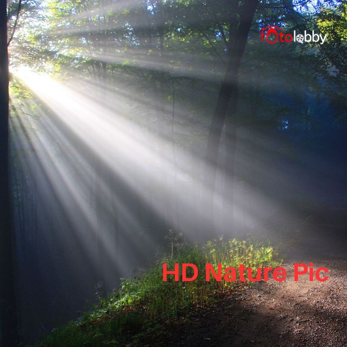 HD Nature Pic