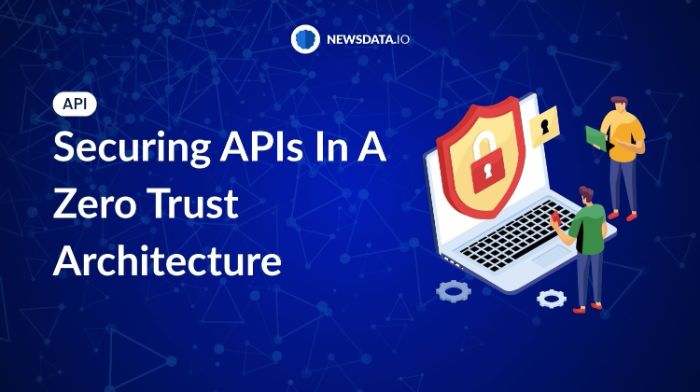 How to Secure APIs Using Zero Trust Architecture?