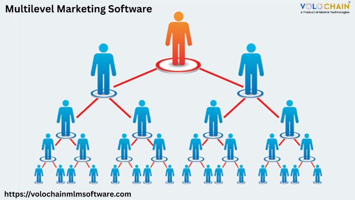Improve Network Efficiency with Multilevel Marketing Software