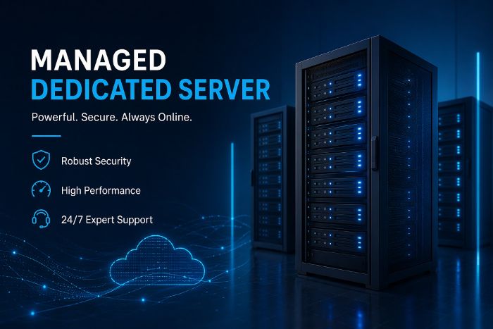 Managed Dedicated Server VyomCloud: Power and Performance