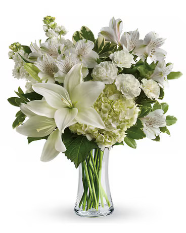 My Florist Flower Delivery Fresh Birthday Flowers Delivery with Elegant Designs