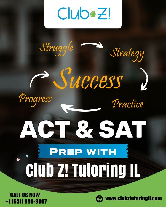 Online Private Tutoring Services In Chicago