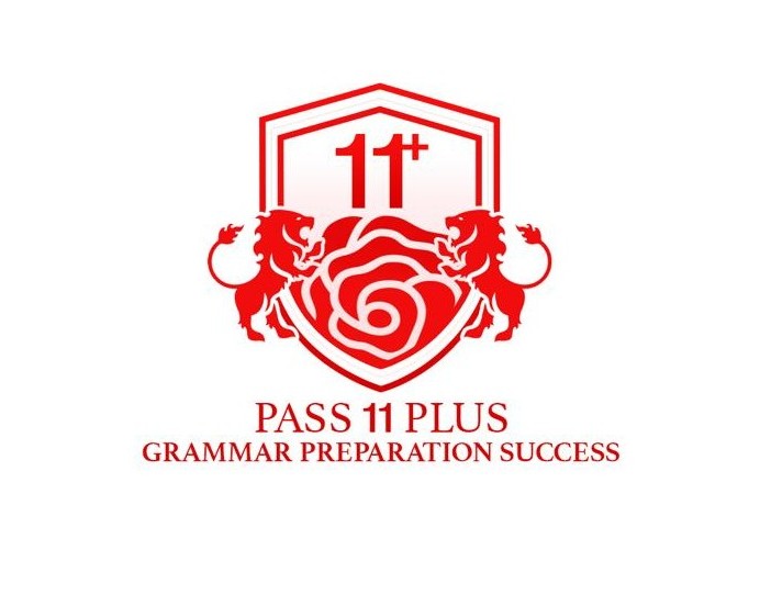 Pass 11 Plus Grammar Preparation Success