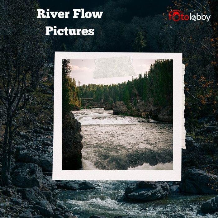 River Flow Pictures