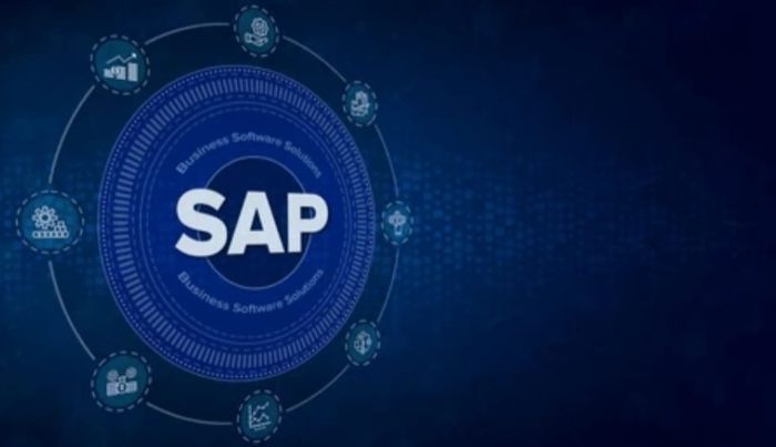 SAP Concur Expense Management Implementation and Support
