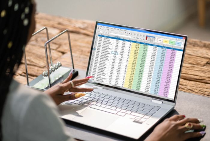 Secure Web Based Spreadsheet Designed for Growing Businesses