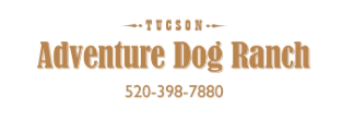 Tucson Adventure Dog Ranch
