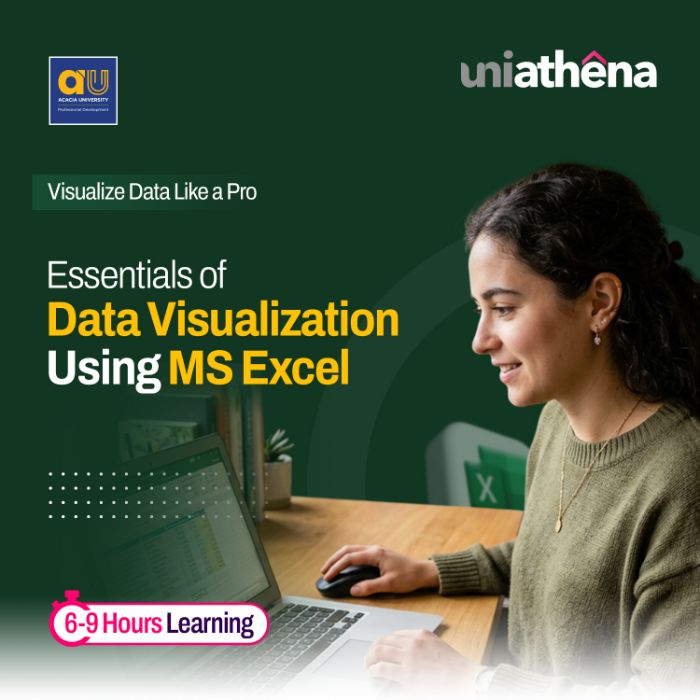 Excel Data Visualization Course with Certificate UniAthena