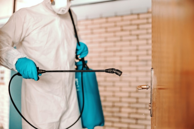 Fast Reliable Spider Control in Sydney