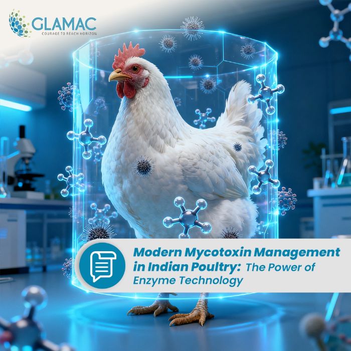 How Enzymes in Poultry Feed Help Control Mycotoxins and Improve Performance