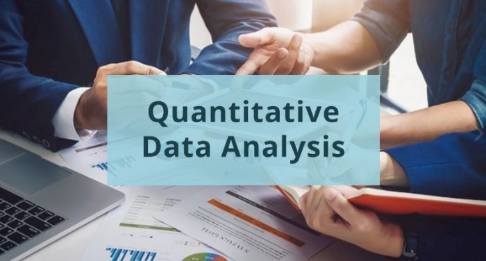 Quantitative Data Analysis Services
