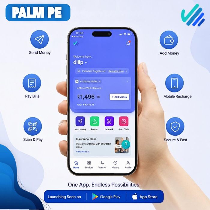 Secure Digital Transactions with PalmPe Payment App India
