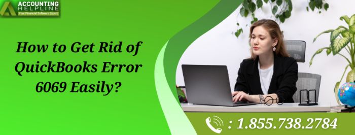 Simple Solutions for QuickBooks Error 6069