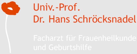 Univ. Prof. Dr. Hans Schroecksnadel