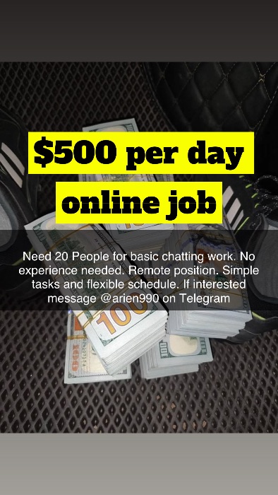 500day job