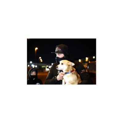 Adopt Rescue Dogs from Asia with No Dogs Left Behind