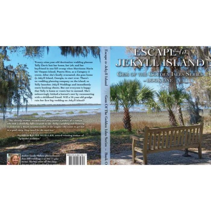 Best Mystery Novels for Crime Lovers to Read Today Sandy Malone Books