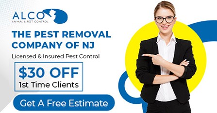 Bird Control New Jersey ALCO Animal Pest Control
