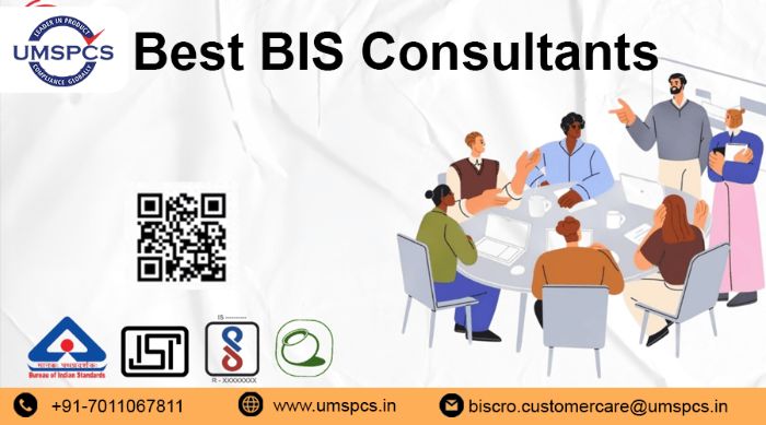 BIS Consultant Services