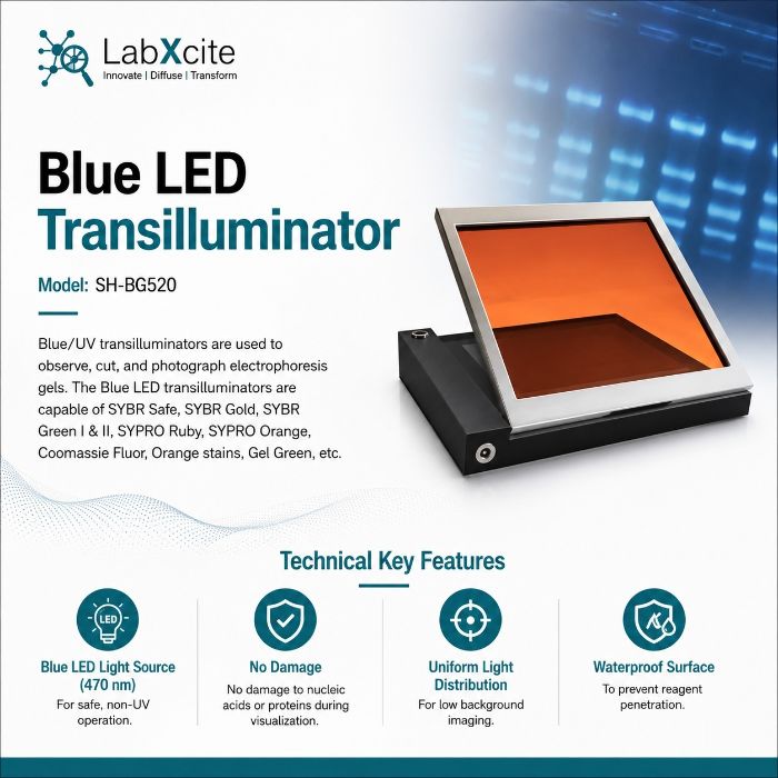 Blue LED Transilluminator