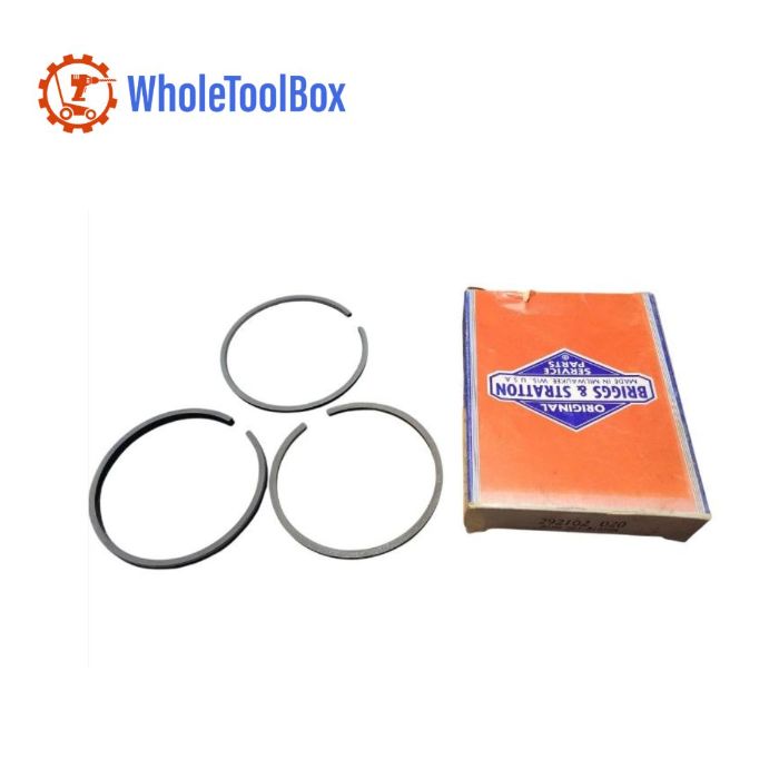 BRIGGS STRATTON 292102 Engine Ring Set020