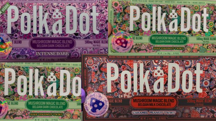 Buy Premium Polka Dot Mushroom Products Online Fresh Trending