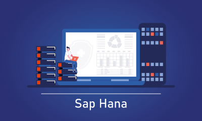 Complete SAP HANA Developer Course for Beginners, Noida