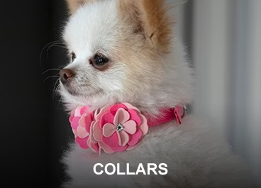 Dog Collar Boutique for Pets Who Deserve a Signature Style