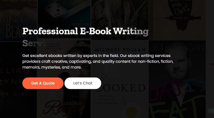 Ebook Writing Experts