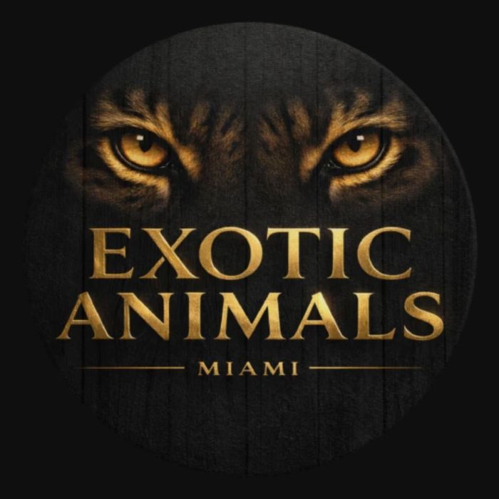 Exotic Animals Miami