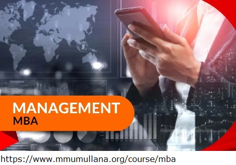 MBA Information Technology Haryana