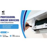 Professional Aircon Servicing Expert Cleaning Maintenance Solutions