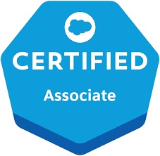 Salesforce Associate Certification Practice Exam Insights