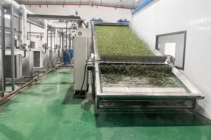 Seaweed Microalgae Processing Lines Efficient Biomass Conversion