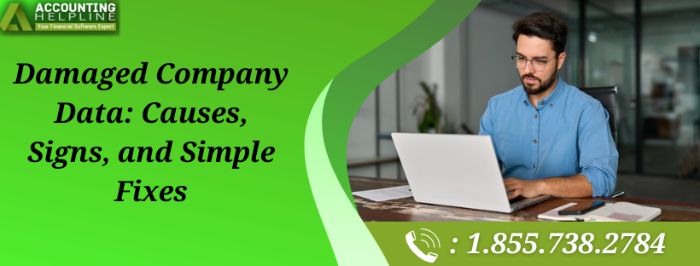 Simple Steps to Resolve Damaged Company Data Issue