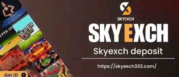Skyexch Deposit Guide: Fast Secure Transactions Made Easy